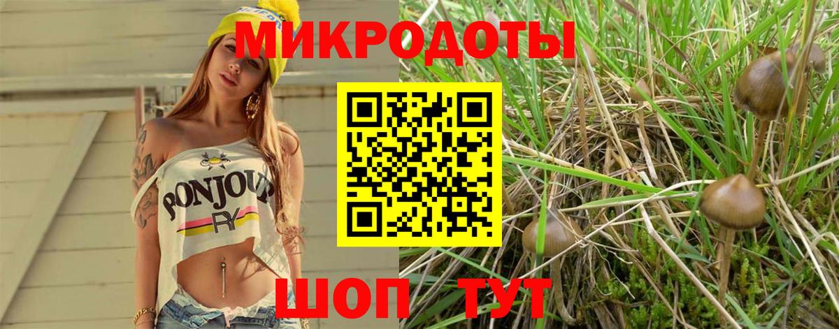 Псилоцибиновые грибы ЛСД Жигулёвск