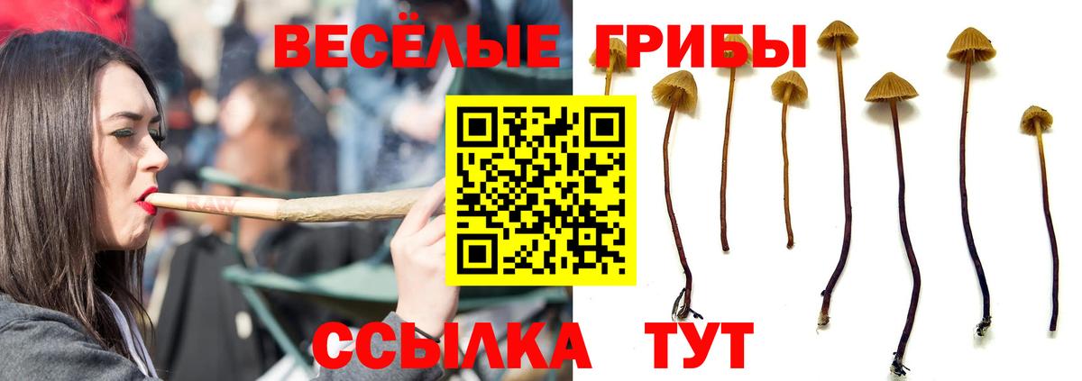 Жигулёвск  Псилоцибиновые грибы MAGIC MUSHROOMS  где найти наркотики  Вход с VPN 